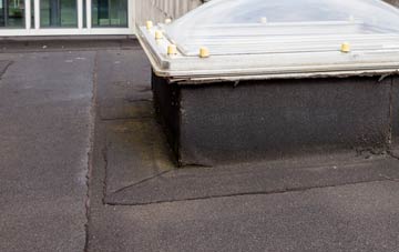 disadvantages of Tir Y Dail flat roofs