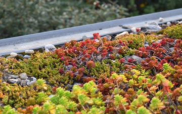the cost of Tir Y Dail green roof installation