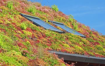 Tir Y Dail living roof systems