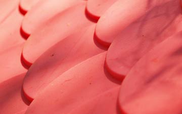 Tir Y Dail plastic roof costs