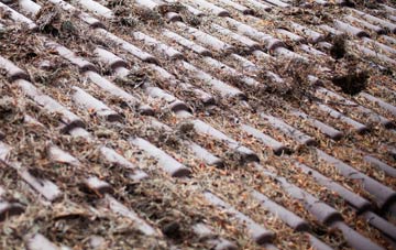 Tir Y Dail roof cleaning companies