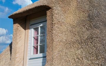 Tir Y Dail thatch roof disadvantages