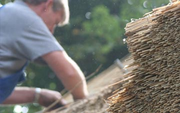 professional Tir Y Dail thatchers