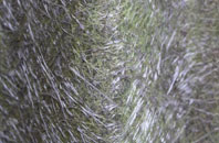 Tir Y Dail fibreglass roof work